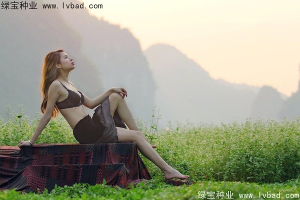 <a href='http://www.njszjj.com/yaocaizhongzi/2336.html' target='_blank'>甜蕎麥</a><a href='http://www.njszjj.com/' target='_blank'>種子</a>