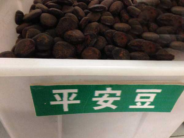 <a href='http://www.njszjj.com/linmuzhongzi/2267.html' target='_blank'>平安豆種子</a>圖片