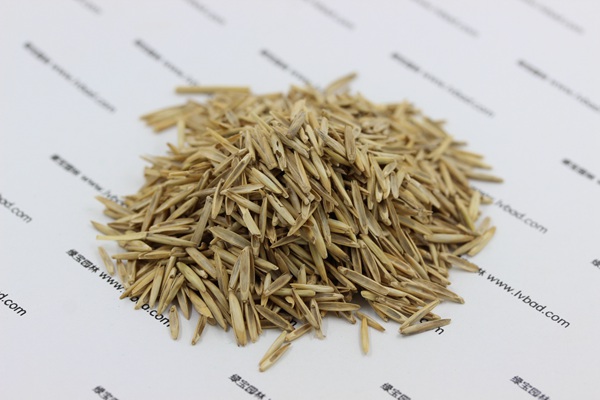 冰草<a href='http://www.njszjj.com/' target='_blank'>種子</a>