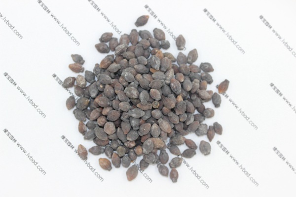 <a href='http://www.njszjj.com/caohuazhongzi/1658.html' target='_blank'>紫茉莉</a><a href='http://www.njszjj.com/' target='_blank'>種子</a>