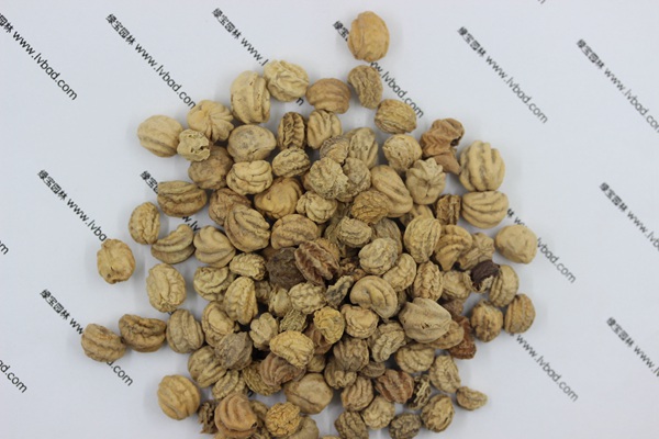 <a href='http://www.njszjj.com/caohuazhongzi/1653.html' target='_blank'>旱金蓮種子</a>