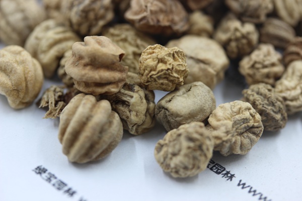 <a href='http://www.njszjj.com/caohuazhongzi/1653.html' target='_blank'>旱金蓮</a><a href='http://www.njszjj.com/' target='_blank'>種子</a>