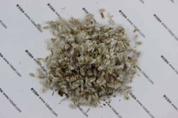 <a href='http://www.njszjj.com/caohuazhongzi/1652.html' target='_blank'>永生菊</a><a href='http://www.njszjj.com/' target='_blank'>種子</a>