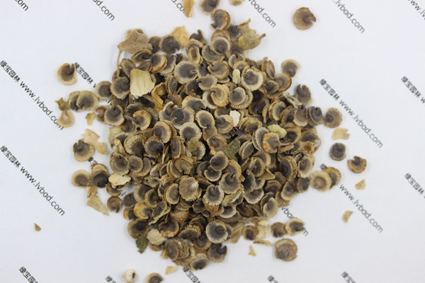<a href='http://www.njszjj.com/caohuazhongzi/1625.html' target='_blank'>蜀葵</a><a href='http://www.njszjj.com/' target='_blank'>種子</a>