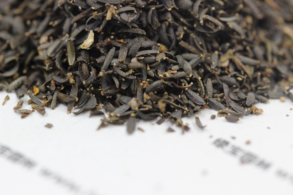 蛇目菊<a href='http://www.njszjj.com/' target='_blank'>種子</a>