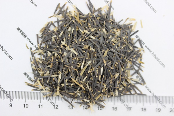<a href='http://www.njszjj.com/caohuazhongzi/1604.html' target='_blank'>南非萬壽菊種子</a>