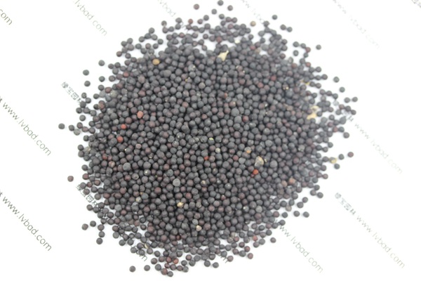 <a href='http://www.njszjj.com/caohuazhongzi/1595.html' target='_blank'>滿天星</a><a href='http://www.njszjj.com/' target='_blank'>種子</a>