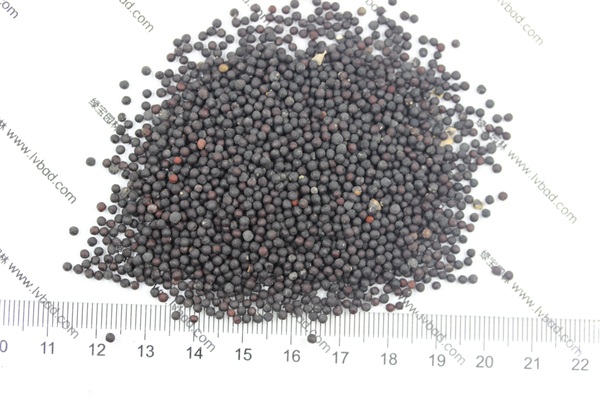 <a href='http://www.njszjj.com/caohuazhongzi/1595.html' target='_blank'>滿天星</a><a href='http://www.njszjj.com/' target='_blank'>種子</a>