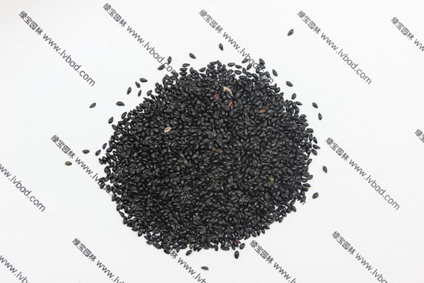 <a href='http://www.njszjj.com/caohuazhongzi/1586.html' target='_blank'>耬斗菜種子</a>