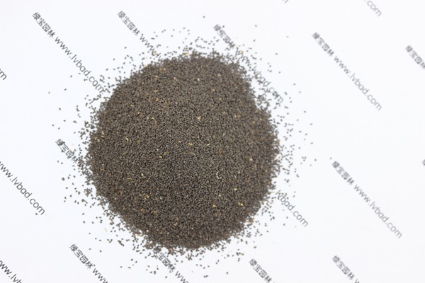 柳穿魚<a href='http://www.njszjj.com/' target='_blank'>種子</a>