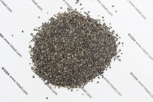 <a href='http://www.njszjj.com/caohuazhongzi/1581.html' target='_blank'>留蘭香薄荷種子</a>