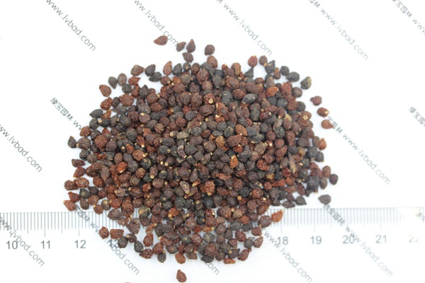 藍(lán)花<a href='http://www.njszjj.com/caohuazhongzi/1578.html' target='_blank'>鳶尾種子</a>