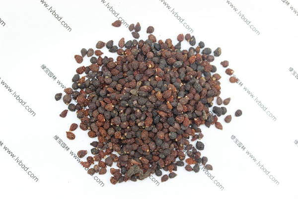 藍(lán)花<a href='http://www.njszjj.com/caohuazhongzi/1578.html' target='_blank'>鳶尾</a><a href='http://www.njszjj.com/' target='_blank'>種子</a>