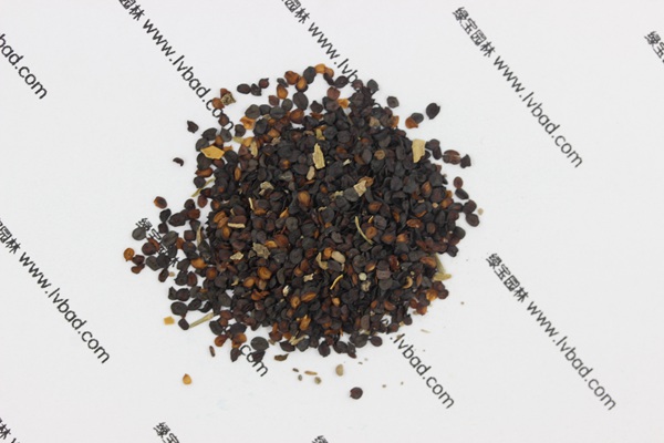 <a href='http://www.njszjj.com/caohuazhongzi/1574.html' target='_blank'>康乃馨</a><a href='http://www.njszjj.com/' target='_blank'>種子</a>