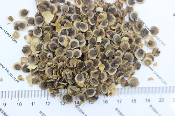 <a href='http://www.njszjj.com/caohuazhongzi/1572.html' target='_blank'>錦葵種子</a>