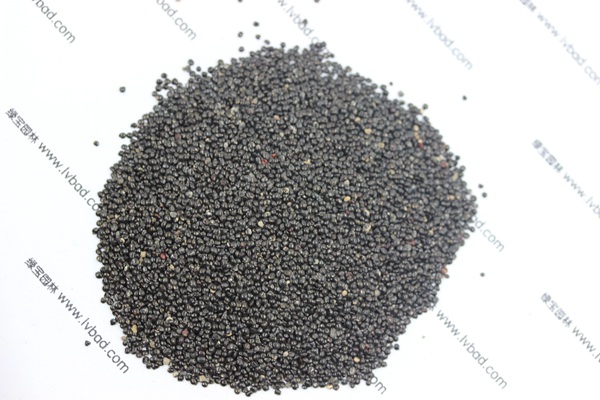 <a href='http://www.njszjj.com/caohuazhongzi/1076.html' target='_blank'>雞冠花</a><a href='http://www.njszjj.com/' target='_blank'>種子</a>