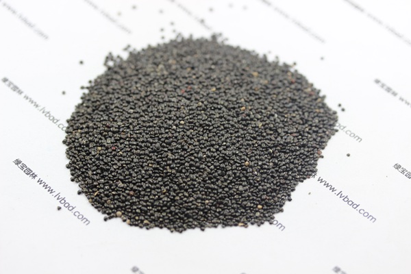 <a href='http://www.njszjj.com/caohuazhongzi/1073.html' target='_blank'>火焰雞冠花種子</a>