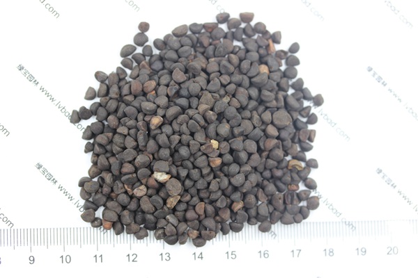 <a href='http://www.njszjj.com/caohuazhongzi/1069.html' target='_blank'>黃花牽牛種子</a>