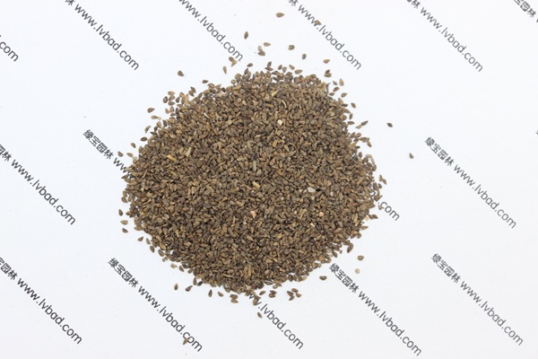 <a href='http://www.njszjj.com/caohuazhongzi/1056.html' target='_blank'>古代稀種子</a>