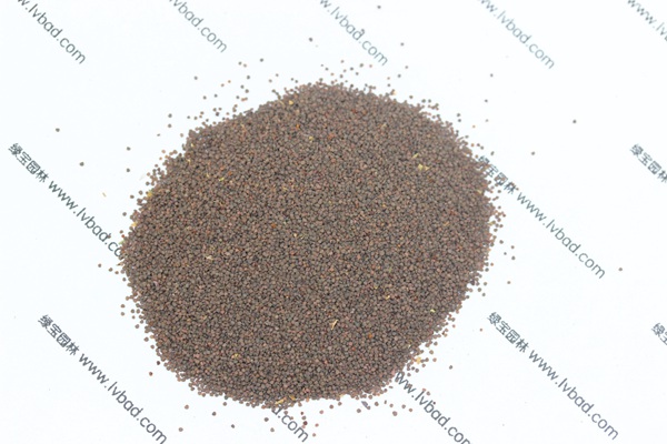 <a href='http://www.njszjj.com/caohuazhongzi/1053.html' target='_blank'>高雪輪種子</a>