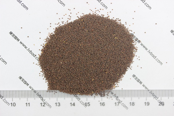 <a href='http://www.njszjj.com/caohuazhongzi/1053.html' target='_blank'>高雪輪種子</a>