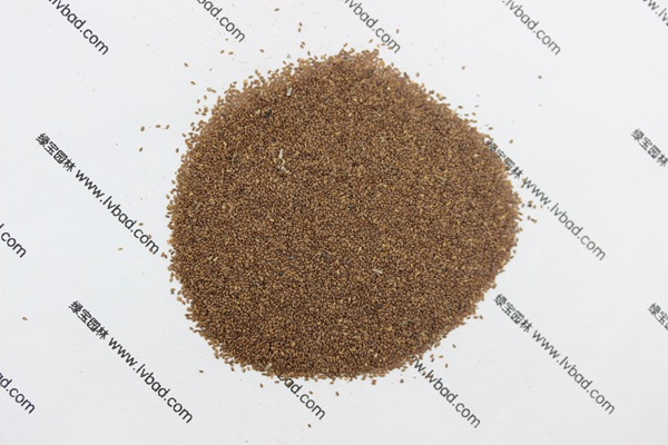 <a href='http://www.njszjj.com/caohuazhongzi/1049.html' target='_blank'>風(fēng)鈴花</a><a href='http://www.njszjj.com/' target='_blank'>種子</a>