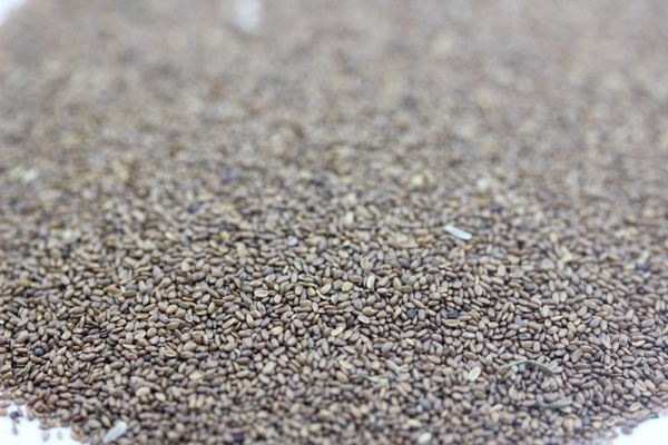 <a href='http://www.njszjj.com/caohuazhongzi/1049.html' target='_blank'>風(fēng)鈴花種子</a>