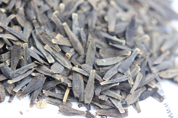 <a href='http://www.njszjj.com/caohuazhongzi/1038.html' target='_blank'>大麗花種子</a>