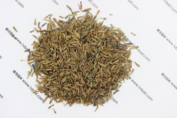 <a href='http://www.njszjj.com/caohuazhongzi/1031.html' target='_blank'>除蟲菊</a><a href='http://www.njszjj.com/' target='_blank'>種子</a>