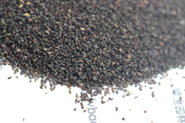 <a href='http://www.njszjj.com/caohuazhongzi/1025.html' target='_blank'>冰島虞美人種子</a>