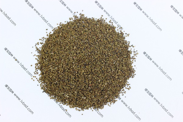 <a href='http://www.njszjj.com/caohuazhongzi/1022.html' target='_blank'>半枝蓮</a><a href='http://www.njszjj.com/' target='_blank'>種子</a>