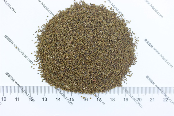 半枝蓮<a href='http://www.njszjj.com/' target='_blank'>種子</a>