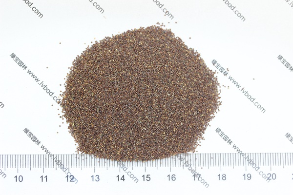 矮牽<a href='http://www.njszjj.com/' target='_blank'>種子</a>