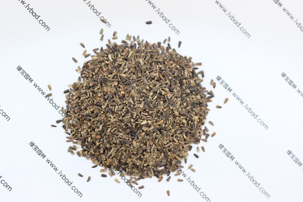 <a href='http://www.njszjj.com/mucaozhongzi/14254.html' target='_blank'>菊苣</a><a href='http://www.njszjj.com/' target='_blank'>種子</a>