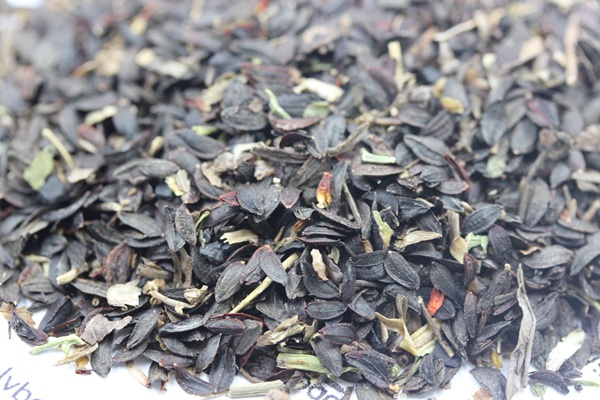 苦麥菜<a href='http://www.njszjj.com/' target='_blank'>種子</a>圖片