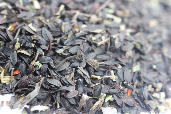 苦麥菜<a href='http://www.njszjj.com/' target='_blank'>種子</a>圖片