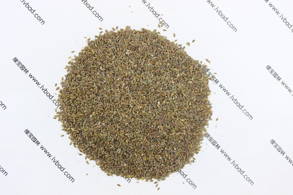 <a href='http://www.njszjj.com/mucaozhongzi/14650.html' target='_blank'>沙蒿</a><a href='http://www.njszjj.com/' target='_blank'>種子</a>