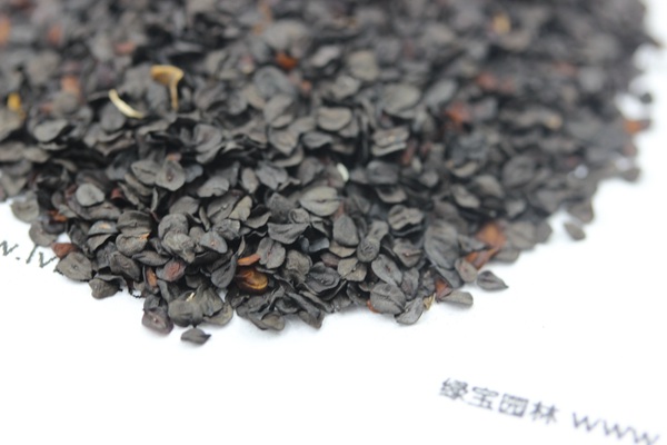 <a href='http://www.njszjj.com/caohuazhongzi/1030.html' target='_blank'>常夏石竹種子</a>