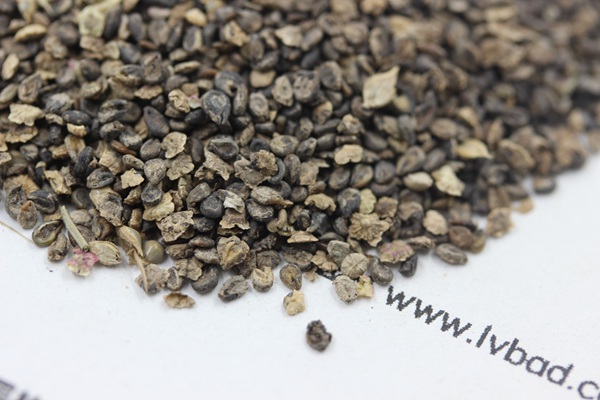 <a href='http://www.njszjj.com/caohuazhongzi/1041.html' target='_blank'>地膚種子</a>