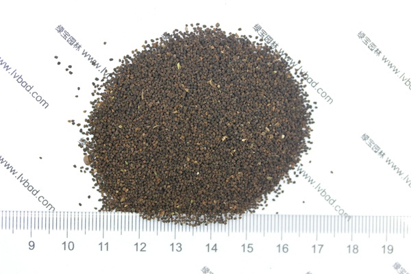 <a href='http://www.njszjj.com/caohuazhongzi/1569.html' target='_blank'>金魚草種子</a>