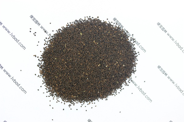 <a href='http://www.njszjj.com/caohuazhongzi/1569.html' target='_blank'>金魚草</a><a href='http://www.njszjj.com/' target='_blank'>種子</a>