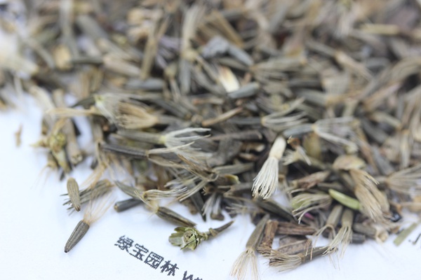 <a href='http://www.njszjj.com/caohuazhongzi/1620.html' target='_blank'>蛇鞭菊種子</a>