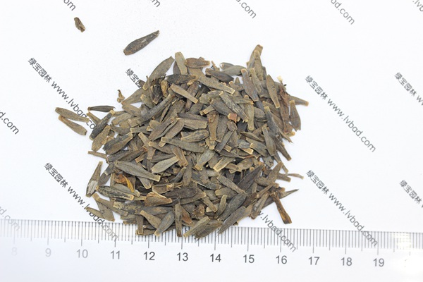 <a href='http://www.njszjj.com/caohuazhongzi/1642.html' target='_blank'>小麗花種子</a>
