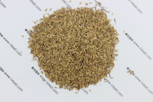 中華<a href='http://www.njszjj.com/caopingzhongzi/1671.html' target='_blank'>結縷草種子</a>