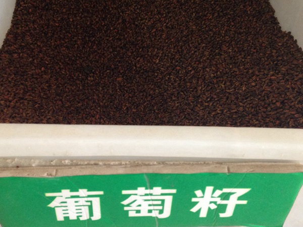 <a href='http://www.njszjj.com/guoshuzhongzi/1887.html' target='_blank'>葡萄</a><a href='http://www.njszjj.com/' target='_blank'>種子</a>