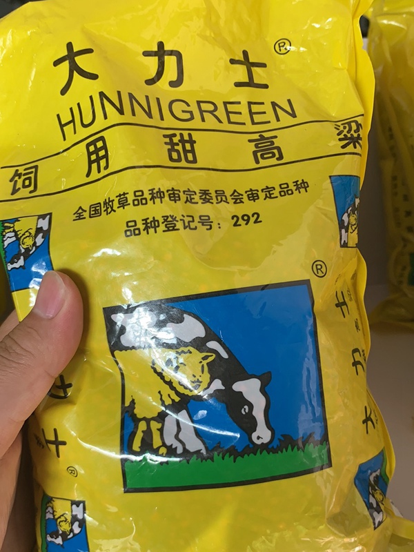 <a href='http://www.njszjj.com/mucaozhongzi/16575.html' target='_blank'>大力士甜高粱</a><a href='http://www.njszjj.com/' target='_blank'>種子</a>