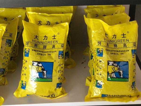 <a href='http://www.njszjj.com/mucaozhongzi/16575.html' target='_blank'>大力士甜高粱種子</a>
