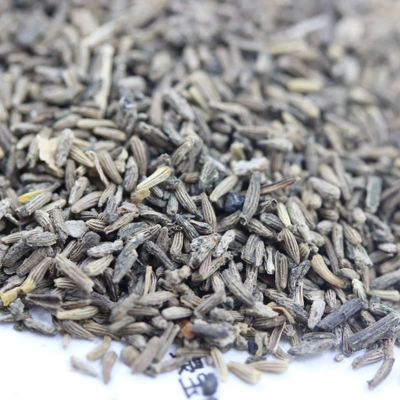 <a href='http://www.njszjj.com/caohuazhongzi/23058.html' target='_blank'>白晶菊</a><a href='http://www.njszjj.com/' target='_blank'>種子</a>