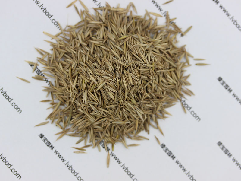 <a href='http://www.njszjj.com/caopingzhongzi/1681.html' target='_blank'>紫羊茅種子</a>