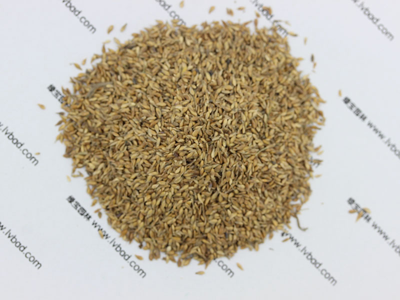 <a href='http://www.njszjj.com/caopingzhongzi/1671.html' target='_blank'>結(jié)縷草種子</a>